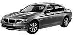BMW F10 B1E30 Fault Code